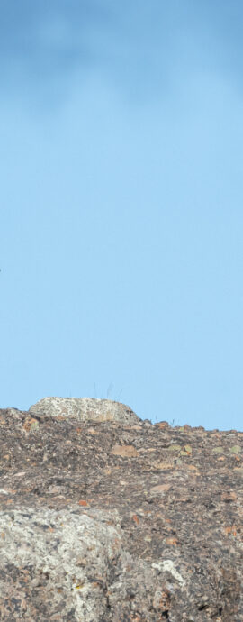 Landscape Photography