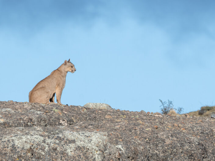 Landscape Photography