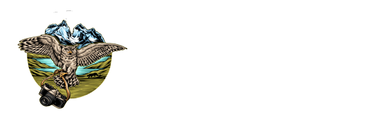Chilevida